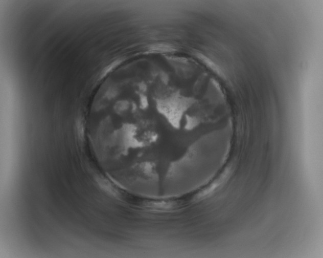 X0000114091401200910131247