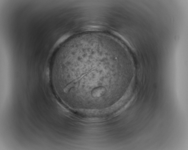 X0000114091402200910131247