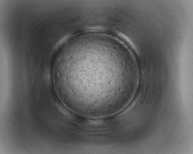 X0000114091403200910131247
