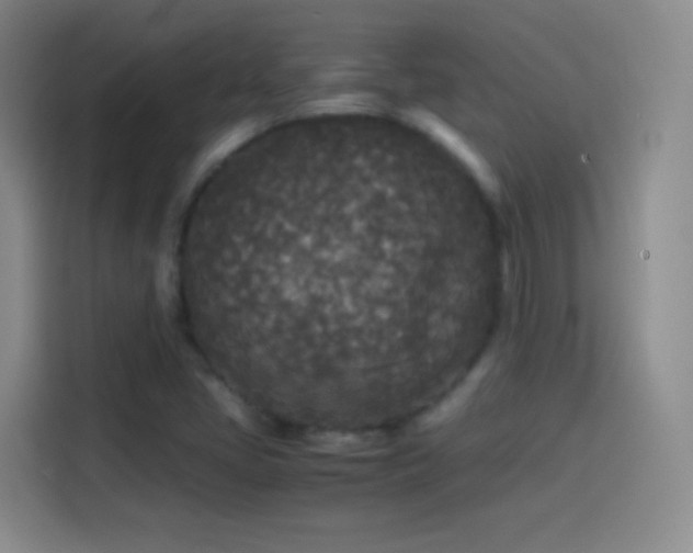 X0000114091405200910131247