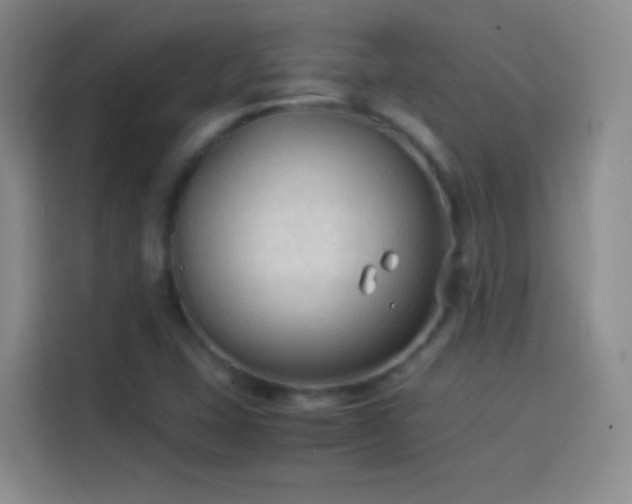 X0000114091407200910131247