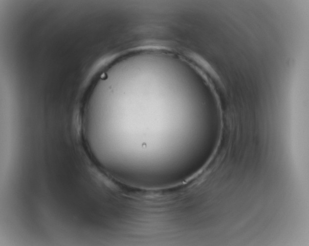 X0000114091408200910131247