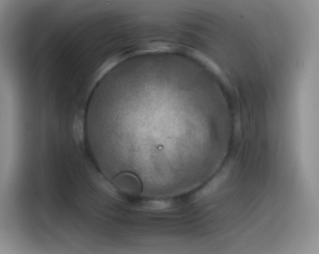 X0000114091409200910131247