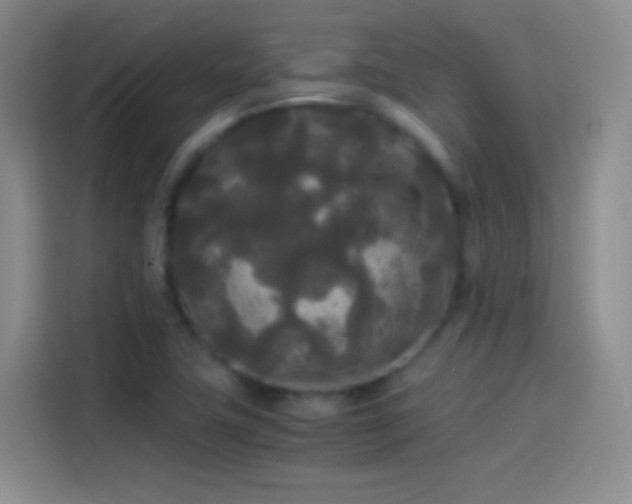 X0000114091411200910131247