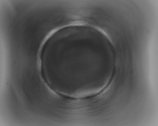 X0000114091414200910131247