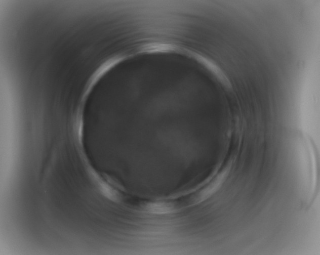 X0000114091418200910131247