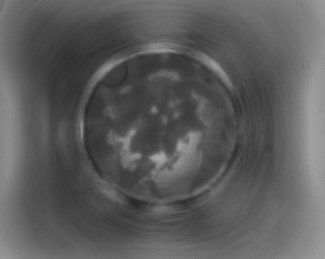 X0000114091419200910131247