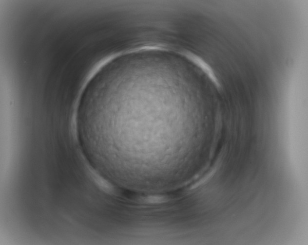 X0000114091423200910131247