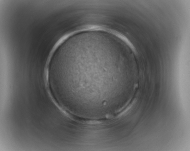 X0000114091424200910131247