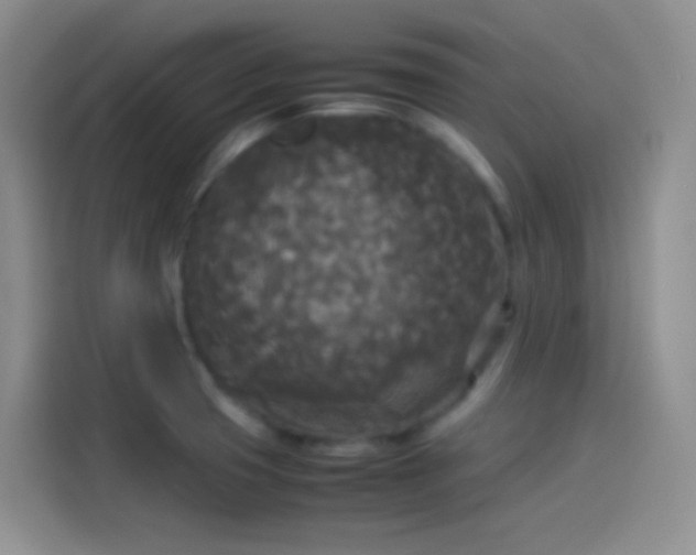 X0000114091425200910131247