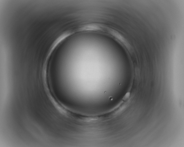 X0000114091426200910131247