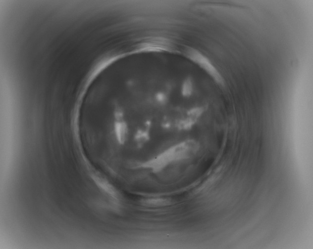 X0000114091427200910131247