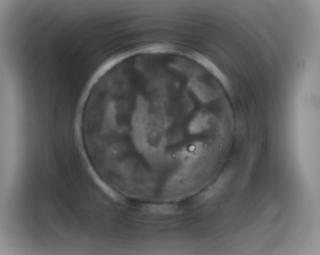X0000114091429200910131247