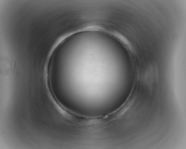 X0000114091430200910131247