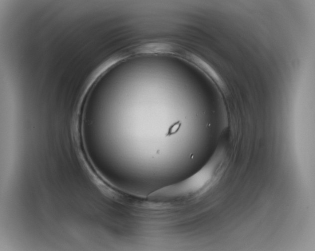 X0000114091434200910131247