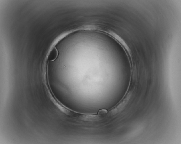 X0000114091437200910131247