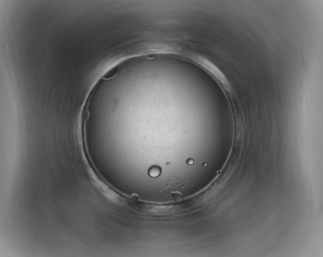 X0000114091439200910131247