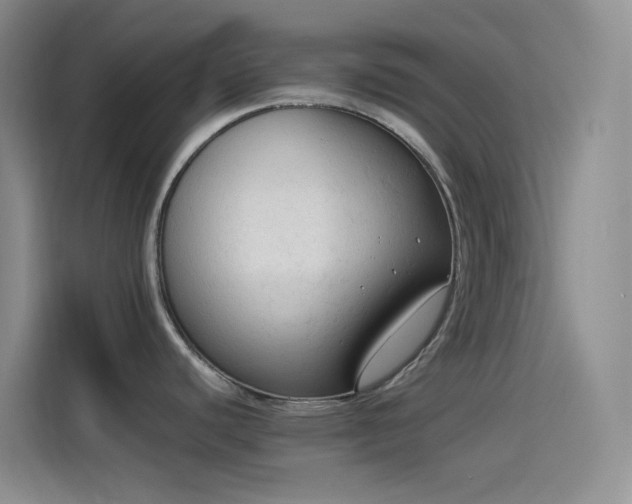 X0000114091440200910131247