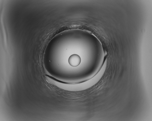 X0000114091441200910131247