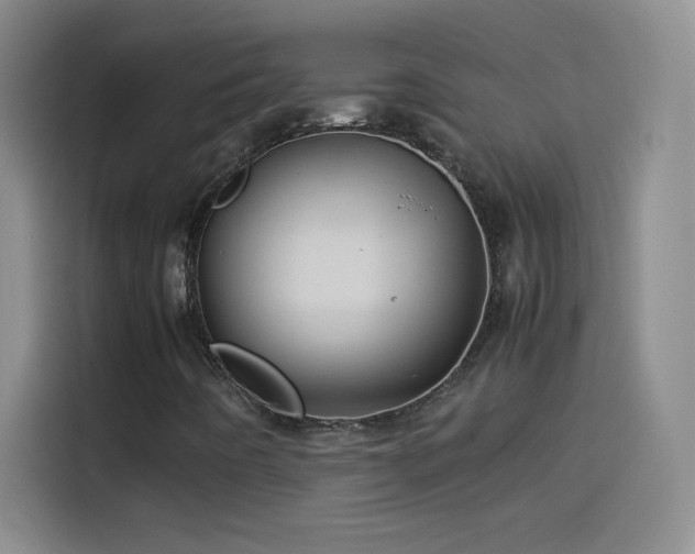 X0000114091442200910131247