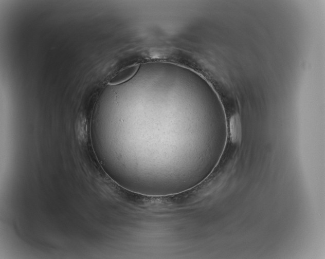 X0000114091443200910131247