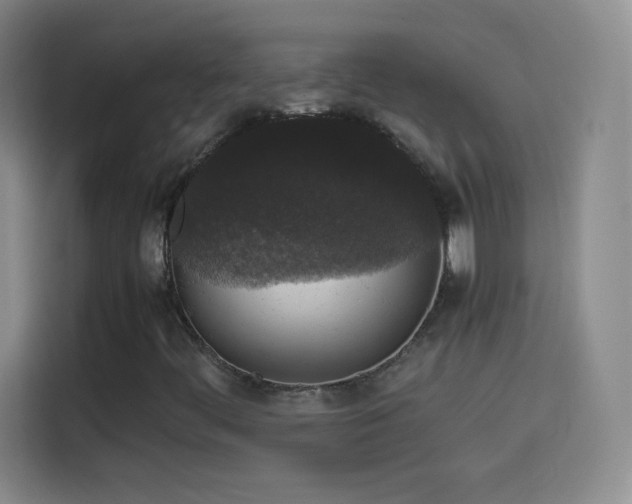 X0000114091444200910131247