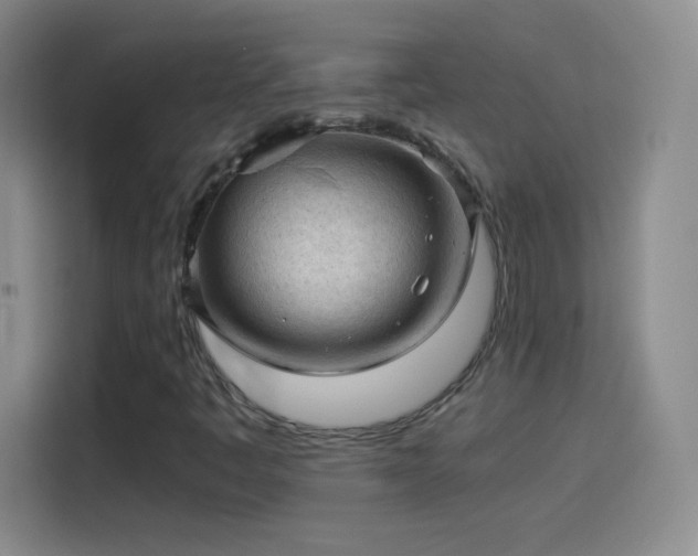 X0000114091445200910131247