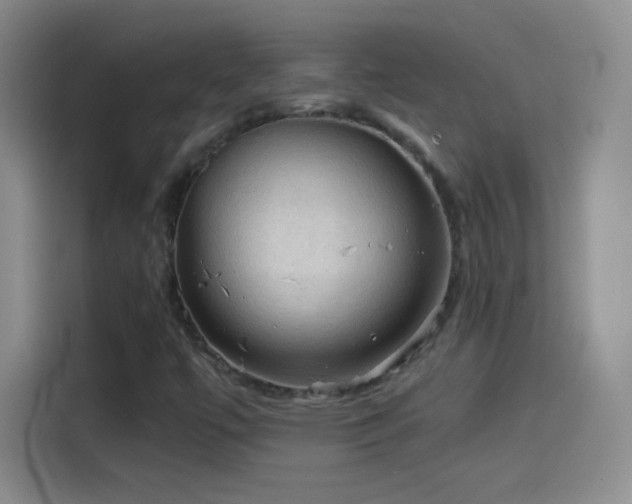 X0000114091447200910131247
