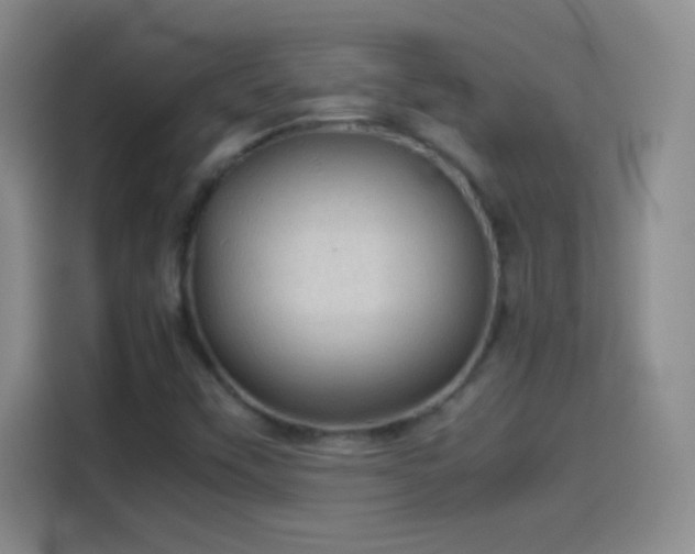 X0000114091451200910131247