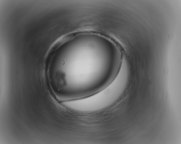 X0000114091452200910131247