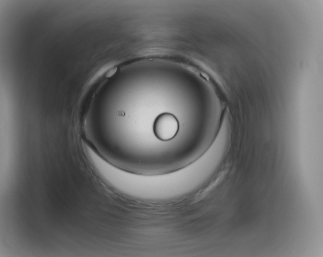 X0000114091453200910131247