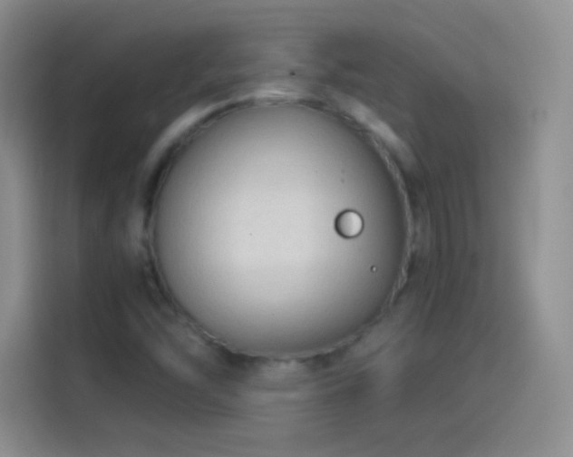 X0000114091454200910131247
