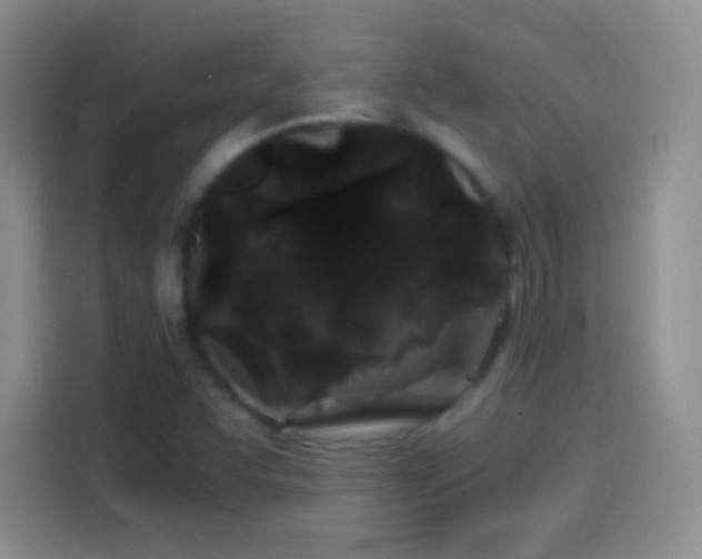 X0000114091455200910131247