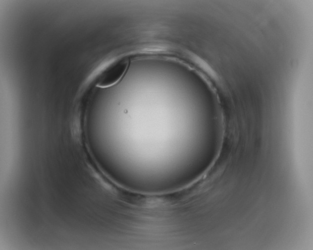 X0000114091456200910131247
