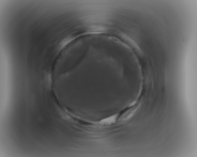 X0000114091457200910131247