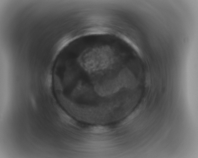 X0000114091459200910131247