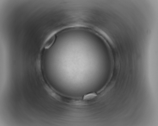 X0000114091460200910131247