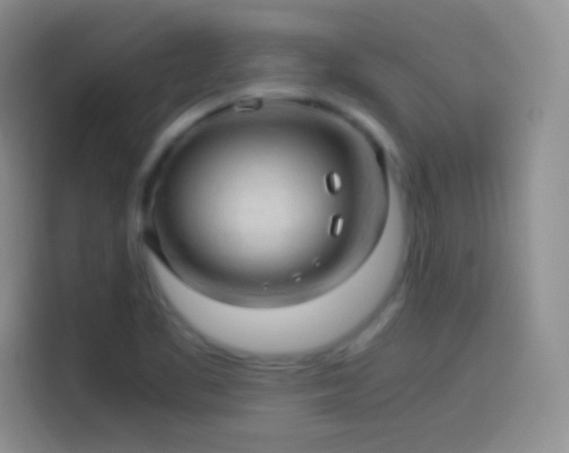 X0000114091461200910131247