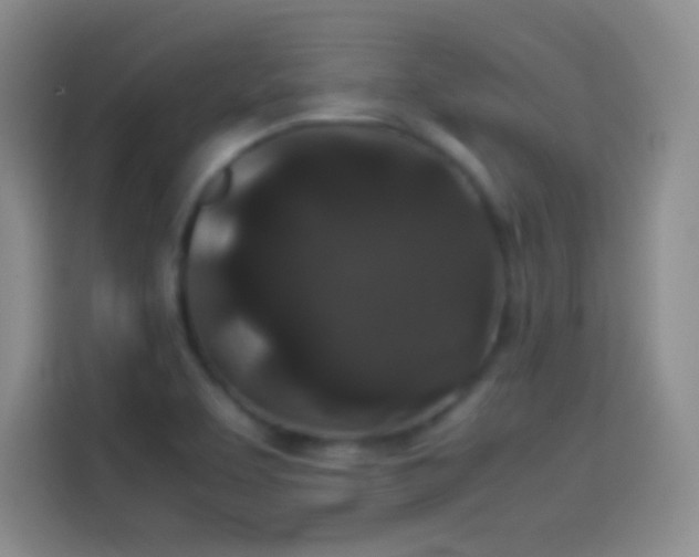 X0000114091463200910131247