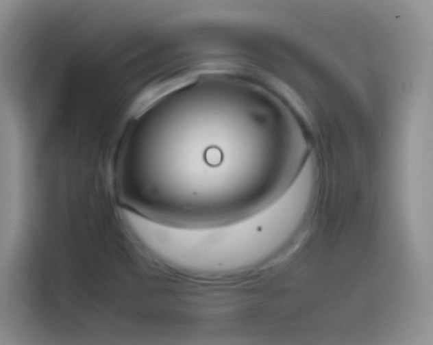 X0000114091465200910131247