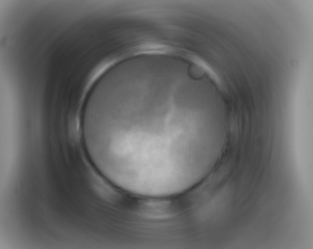 X0000114091466200910131247