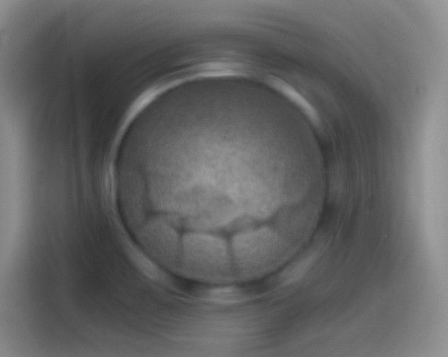 X0000114091467200910131247