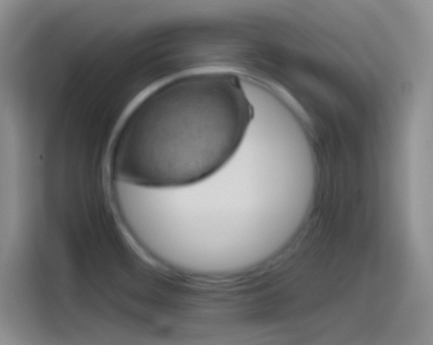 X0000114091468200910131247