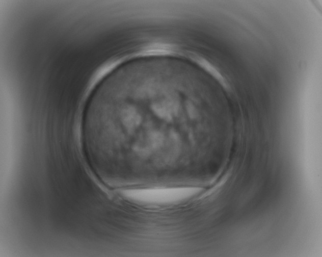 X0000114091469200910131246