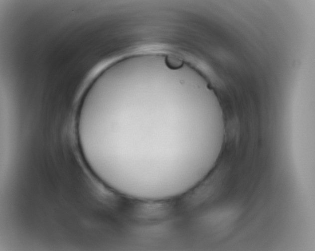 X0000114091470200910131246