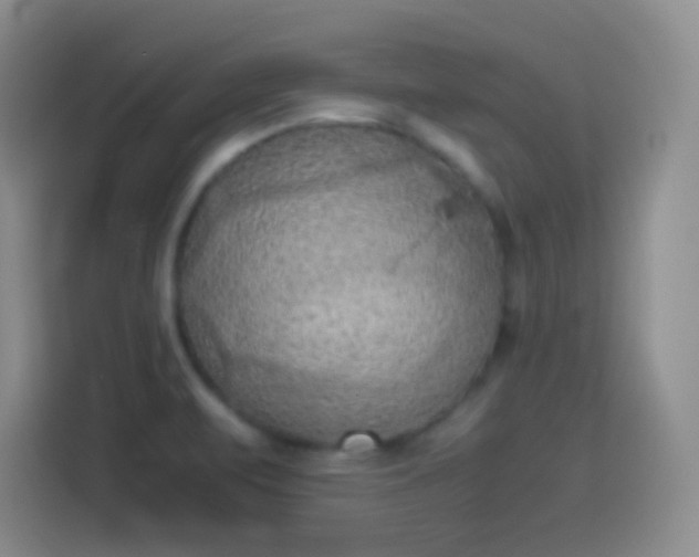 X0000114091471200910131246