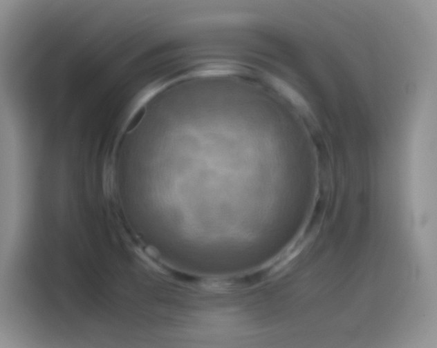 X0000114091473200910131246