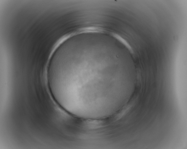 X0000114091474200910131246