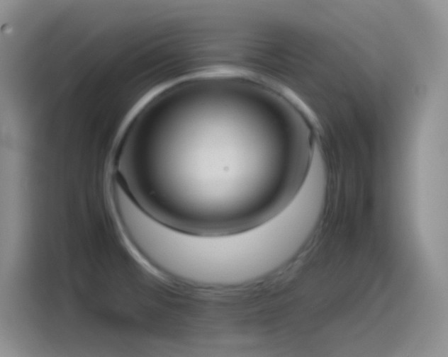 X0000114091476200910131246