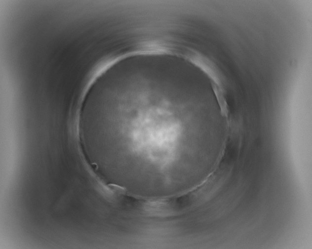 X0000114091477200910131246